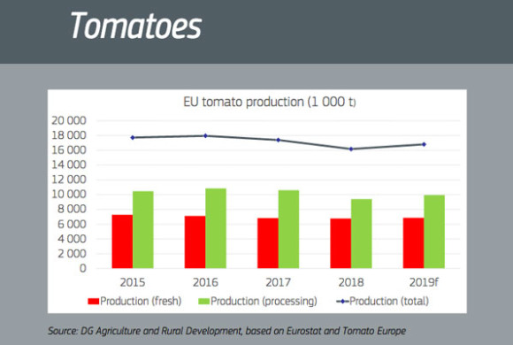 ΕΕ: Προβλέψεις παραγωγής και εμπορίας επιτραπέζιας και βιομηχανικής ντομάτας το 2019