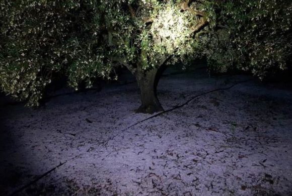 Έπεσε χαλάζι στα θερμοκήπια της Κουντούρας